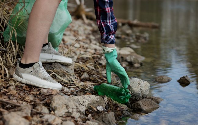 Названо животное, которое питается пластиком
