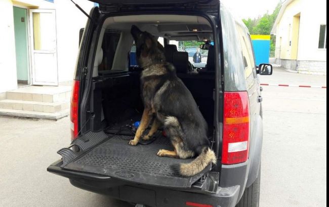 Громадянин Білорусі намагався ввезти в Україну боєприпаси