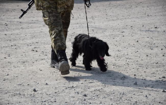 КПВВ на Донбассе за сутки пересекли почти 42 тыс. человек