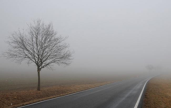 Синоптики предупреждают водителей о тумане на дорогах Украины 3 октября