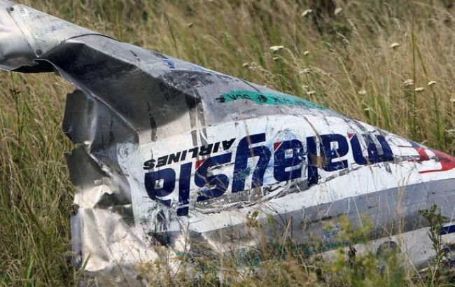 Подозреваемых в катастрофе МН17 объявят в международный розыск
