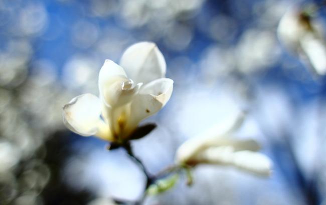 Погода на сегодня: в Украине без осадков, температура до +22