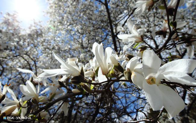 Погода на сегодня: в Украине преимущественно без осадков, температура до +31