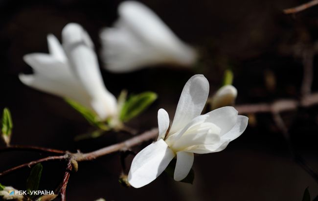 Постепенно будет возвращаться тепло: прогноз на неделю