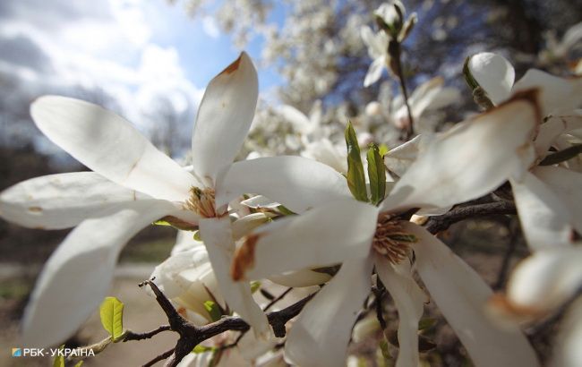 Погода на сегодня: в Украину возвращается тепло