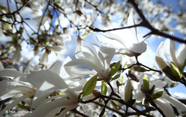 Погода на сегодня: на западе Украины дожди, температура до +24