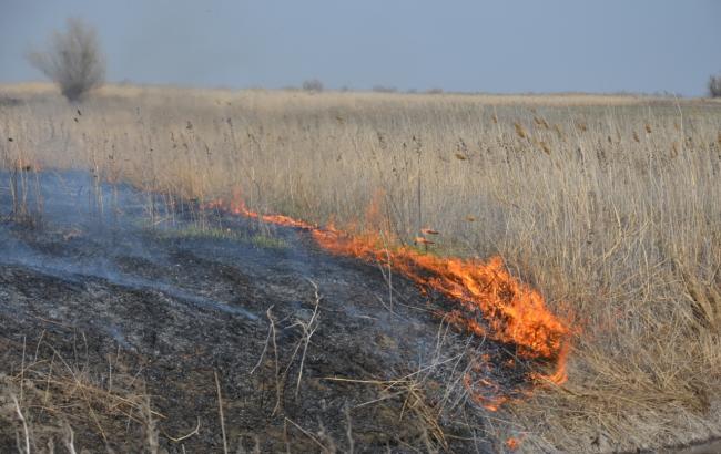 В Киеве и области ожидается пожарная опасность