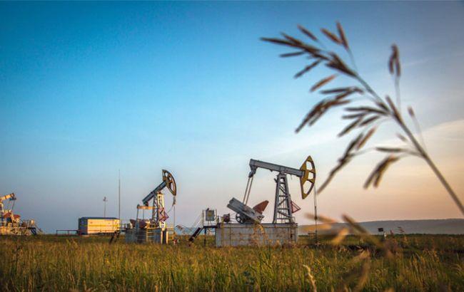 Цена нефти Brent поднялась выше 49 долларов за баррель