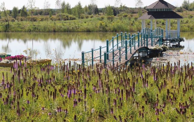 Похищенная оккупантами староста села Мотыжин Киевской области найдена мертвой