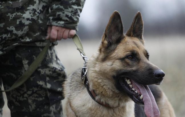 В Винницкой области задержали разыскиваемого Интерполом молдаванина