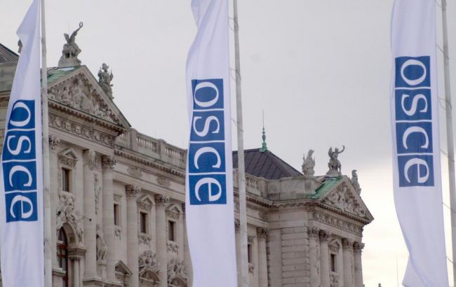 ОБСЕ не направляет долгосрочных наблюдателей в Крым, - Петерсон
