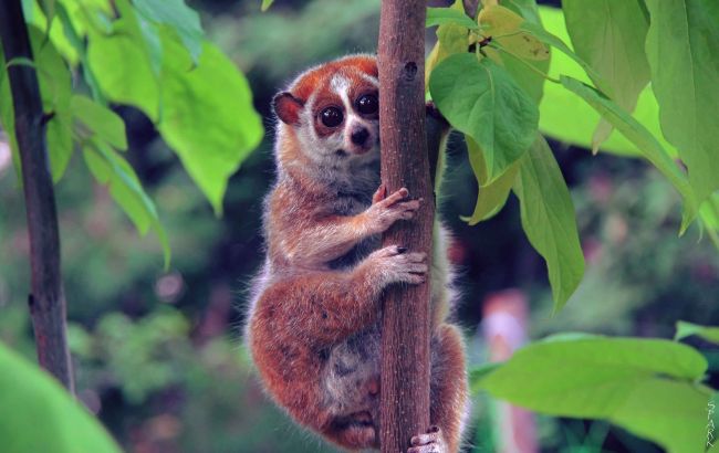 Погода на сегодня: на большей части Украины дожди, температура до +36