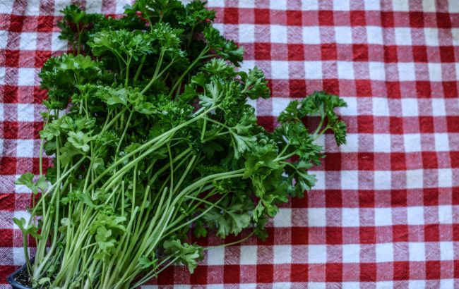 Мы делали все неправильно! Как на самом деле нужно мыть зелень