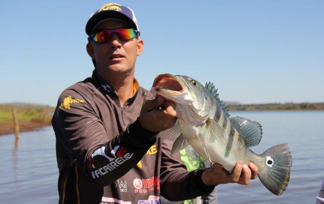 Риба - просто під ногами: найкращі місця для риболовлі у травні