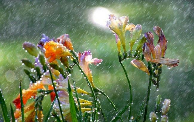 Погода на сегодня: на большей части Украины дожди, температура до +13