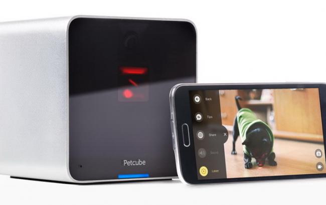 Украинский стартап для животных привлек более 2,5 млн долларов инвестиций