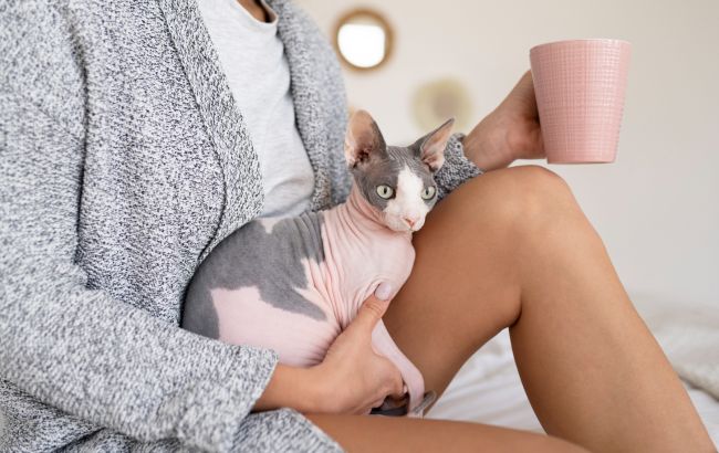 Про тишу можете забути: топ-3 найгучніших порід кішок