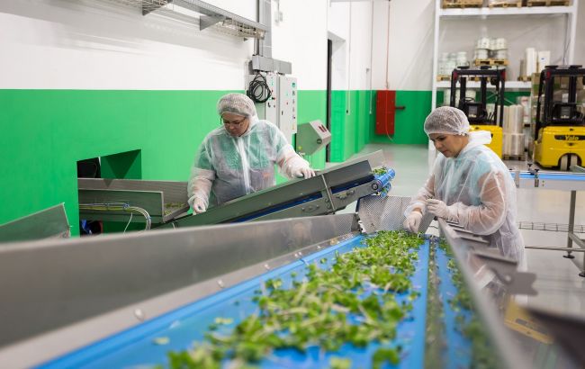 Украинцы готовы возвращаться домой из Европы для восстановления страны, &ndash; эксперты