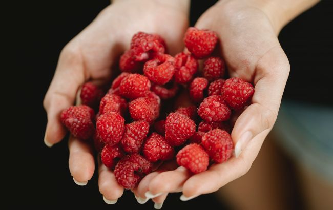 Сезон малины в Украине: сколько стоят ягоды