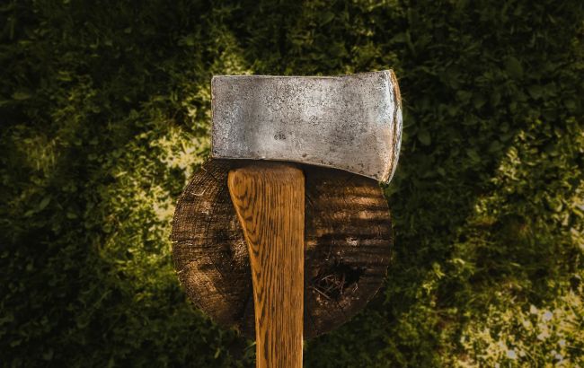 В Україні посилили відповідальність за незаконну вирубку дерев: які штрафи передбачені
