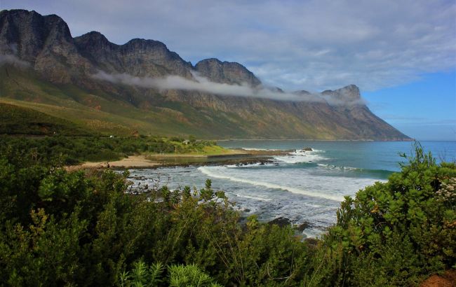 Загублений світ: виявлено новий регіон із сотнями унікальних видів рослин та тварин