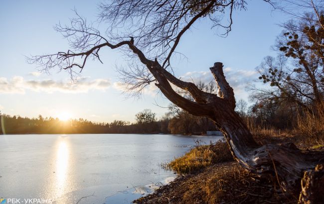 Грозовые дожди и жара: прогноз погоды на сегодня