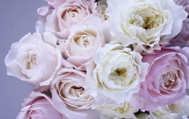 Импорт цветов в Украину увеличился на четверть