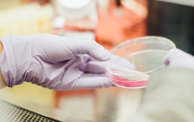 У Дніпрі СБУ затримала виробників наркотиків