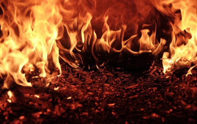 За прошедшие сутки в Украине на пожарах погибли 11 людей