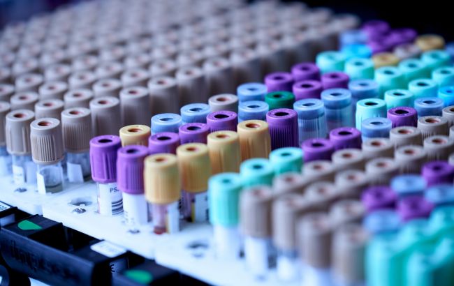 В Египте снизили стоимость ПЦР-тестов для туристов: какую цену установили