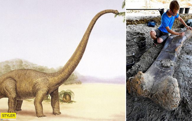 Самый большой зверь в истории: ученые шокированы неожиданной находкой (фото)