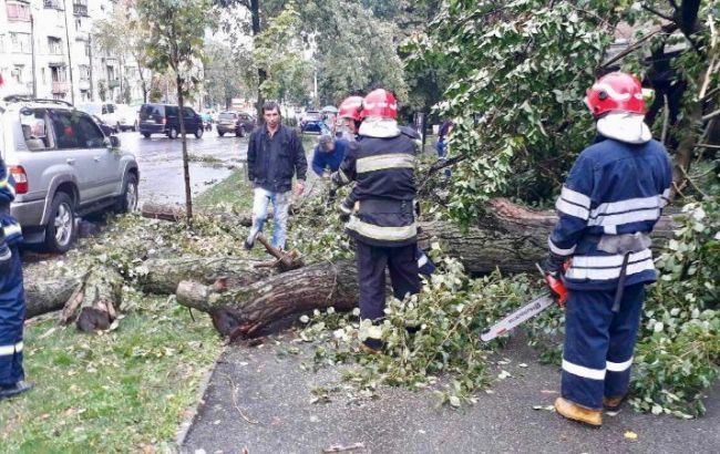 Из-за непогоды в Одессе погиб человек