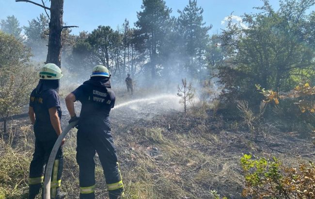 На острове Хортица потушили пожар