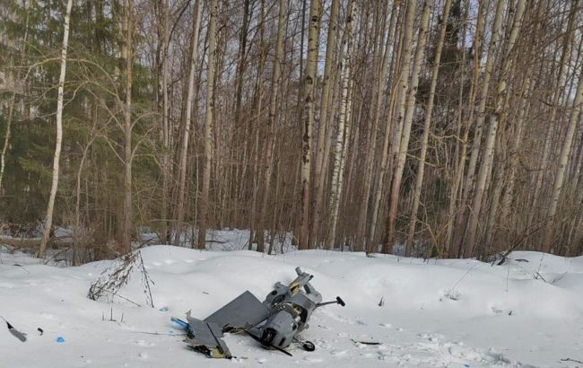 ППО не допомагає. Під Москвою росіян від безпілотників "рятують" гілки дерев