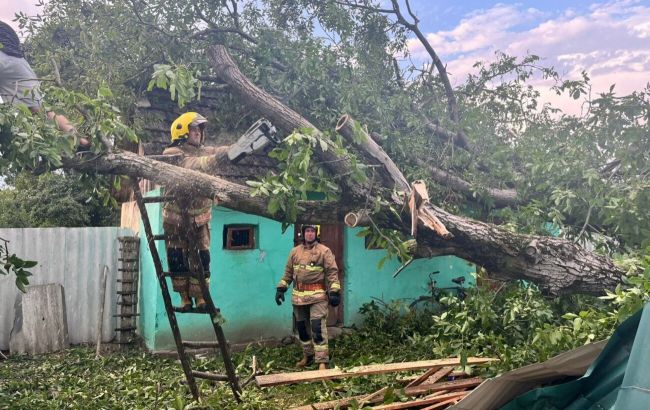 Зірвані дахи, повалені дерева і знеструмлення: низку областей України накрив буревій