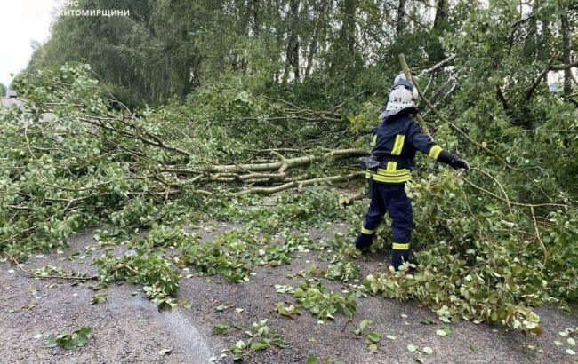 Повалені дерева, затоплені будинки та вулиці: у ДСНС показали наслідки негоди в Україні