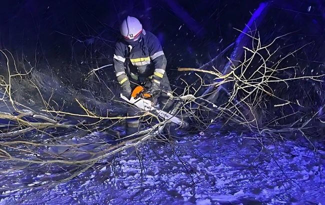 Негода накрила ще один регіон: на Житомирщині ДСНС прибирає звалені дерева та рятує водіїв