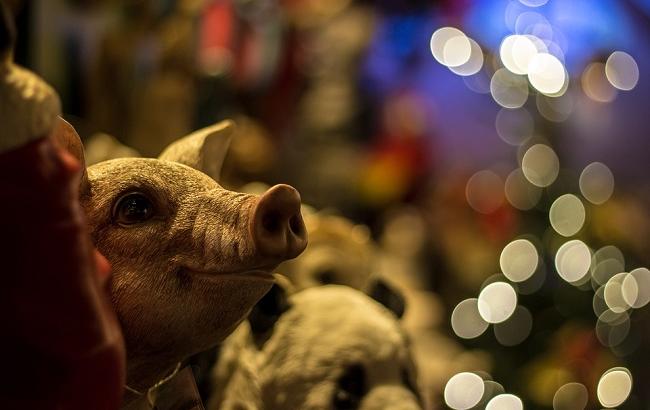 Восточный гороскоп на 2019 год: что ждет все знаки Зодиака