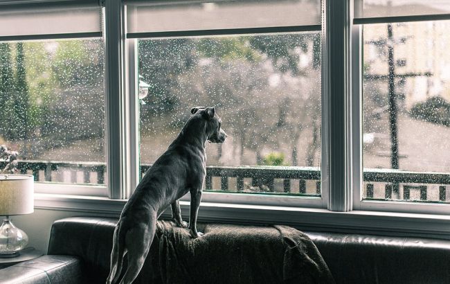 Погода на выходные: на большей части Украины дожди, температура до +18