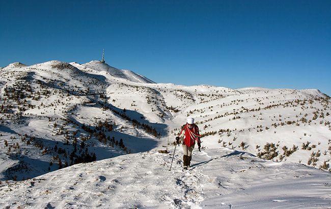 Спасатели со вчера ищут пропавших туристов в Карпатах