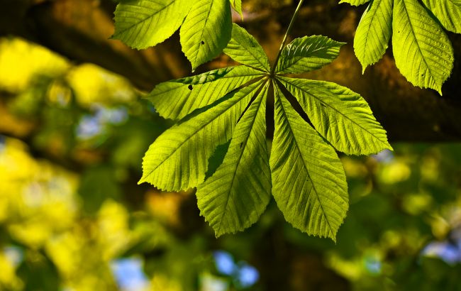 У Запоріжжі на фото потрапила природна аномалія: здивувалися навіть кліматологи