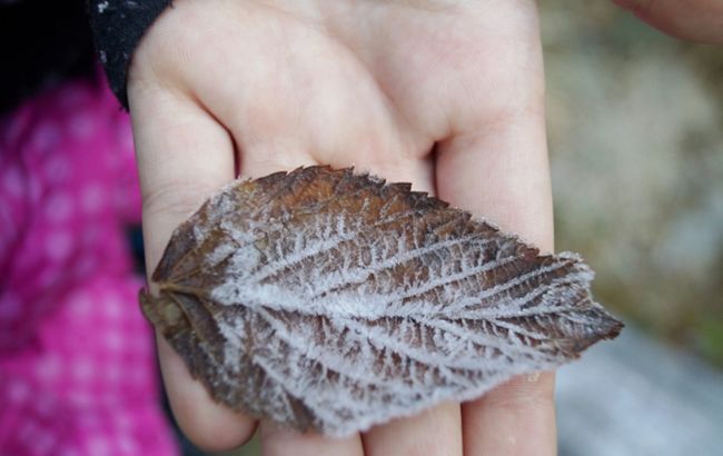 Синоптики предупредили о первых заморозках в Украине