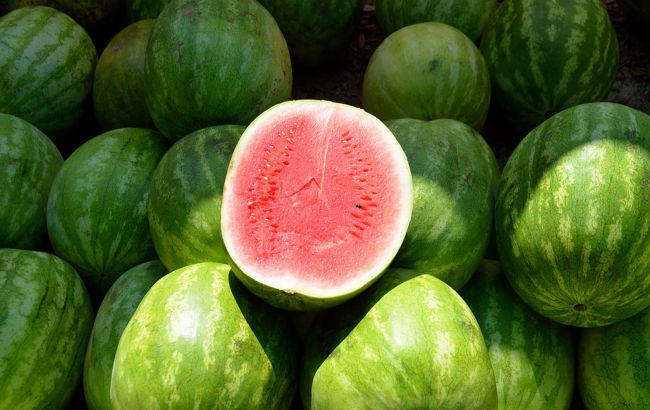 В Херсонской области произошел коллапс с арбузами: фермеры бьют тревогу