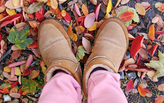 Праздник 8 октября: что нельзя делать сегодня, все приметы