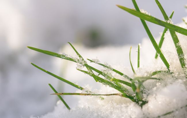 Часть Украины засыпало снегом: появились фото