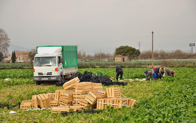 В Польше признали рост экономики благодаря трудовым мигрантам из Украины