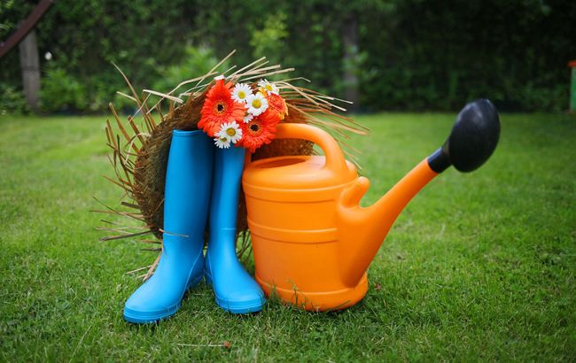 Дача на літо: які ціни очікуються в цьому сезоні