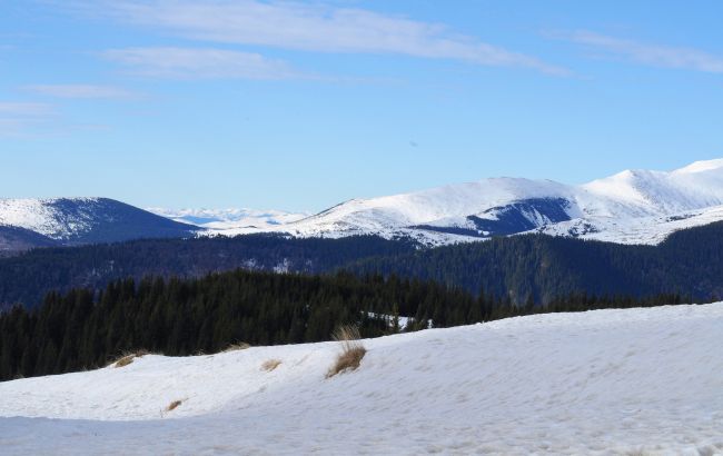 Карпаты в начале мая засыпает снегом:  ударил мороз -3