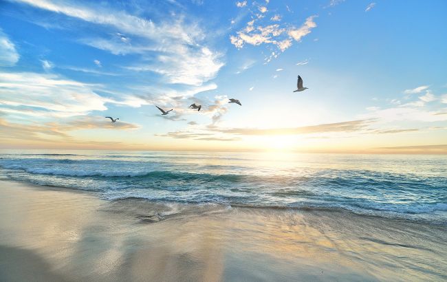 В Украине обнаружен безлюдный курорт: море чистое, туристов нет