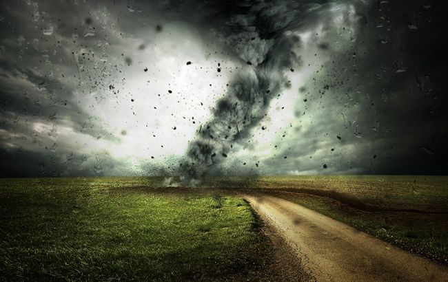 Вырывал деревья с корнями: под Черновцами пронесся мощный смерч (видео)